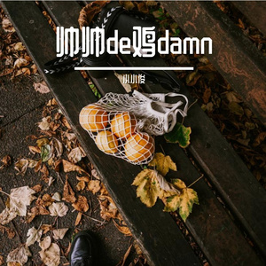 帅帅de鸡damm-整曲