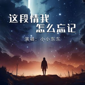 这段情我怎么忘记