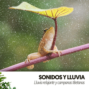 Paisajes sonoros empapados