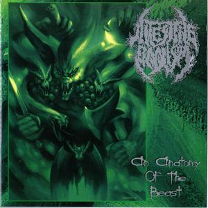 Anatomy Of The Beast