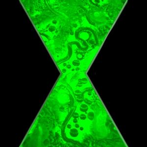 OMNITRIX (ROUGH MIX)