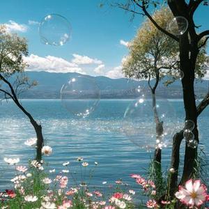 咏春 (氛围感DJ) (LXy Remix)