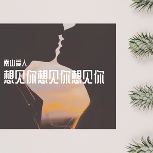 想见你想见你想见你