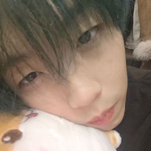 疯狂小狗