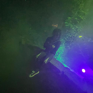 why they wanna be like us?