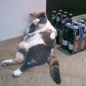 牛马rapper（PROD BY 崔巨帅）