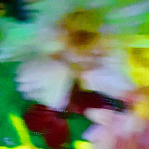 Mallett (Cutlet Mix)