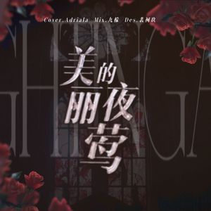 美丽的夜莺（Chinese Ver.)