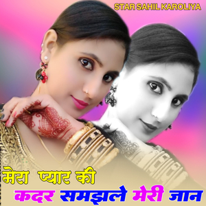 मेरा प्यार की कदर समझले मेरी जान