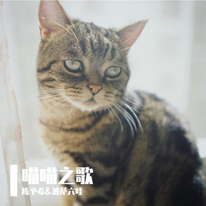 《喵喵之歌》