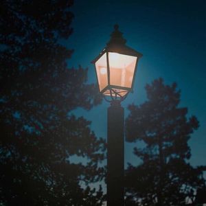 你以为你手段高明，只不过是我心甘情愿