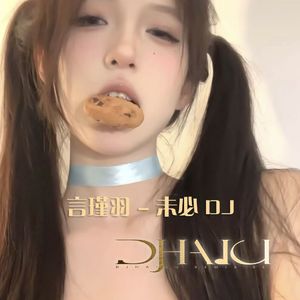 言瑾羽 - 未必（DJHAIOU Revisemix）