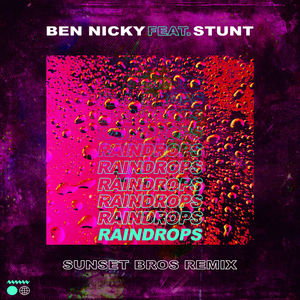 Raindrops (Sunset Bros Remix)