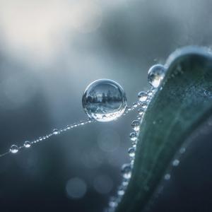 Dewpoint