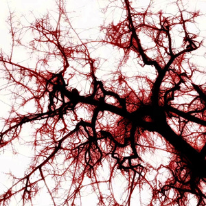 "乱马" SASIOVERLXRD*中国风 Type Beat