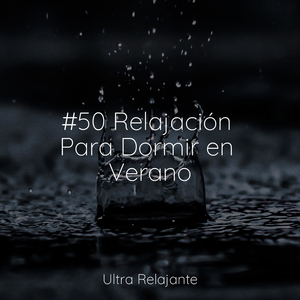 Relájate en Armonía