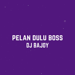Pelan Dulu Boss