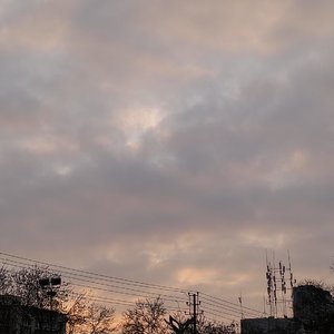 不敢回应的喜欢
