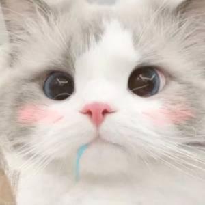 天生反骨的鸵鸟