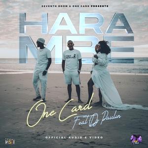 Harambe (feat. Dj Paulin)