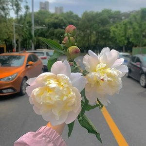 下辈子还要和你成个家（江山）