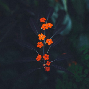 Consistency (unfinished demo)