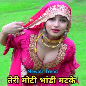 तेरी मोटी भांडी मटके