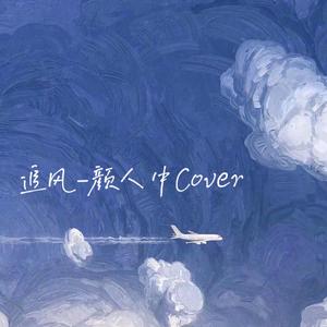 追风