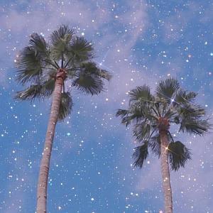 桃花诺（cover.邓紫棋）（翻自 群星）