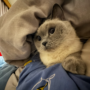 祝大家新年快乐