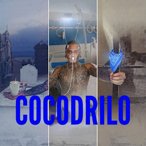 Cocodrilo