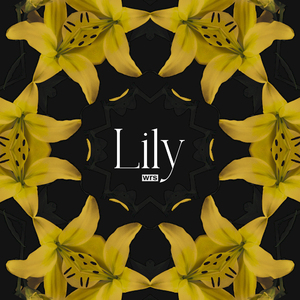 Lily