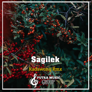 Sagilek (Remix)