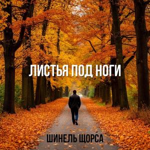 Листья под ноги