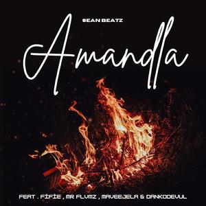 Amandla (feat. MR FLVMZ, Fifie Doll, MaVeejela & Dankodevúl)