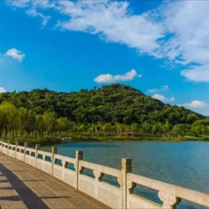 心中梦想航班 (1)