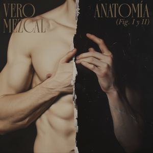 Anatomía (Fig. I y II)