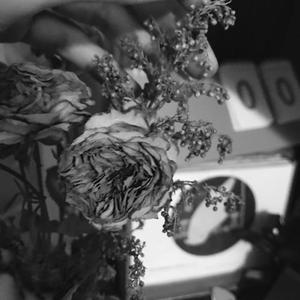 丢（翻自 布衣乐队）