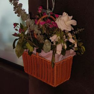 我不知道爱是什么所以我疯了