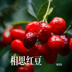 相思-红豆