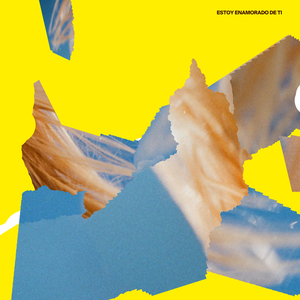 Estoy Enamorado de Ti