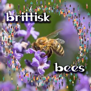 Bees