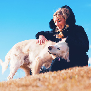 Animals Zen Pet Melodies