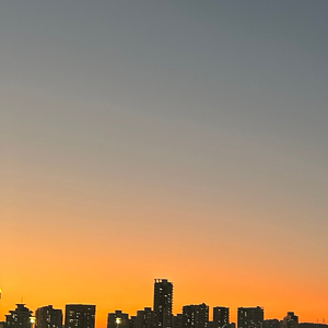 雕栏玉砌应犹在