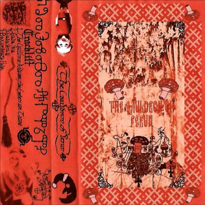 Вълшебната Гъба