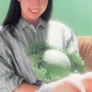 月夜のゴンドラ