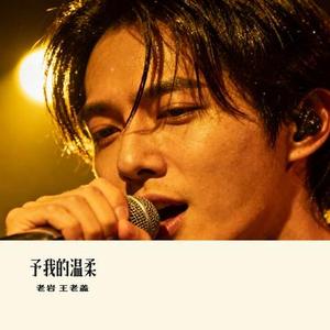 予我的温柔