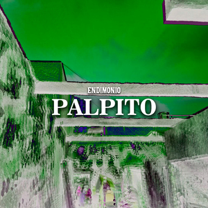 Palpito