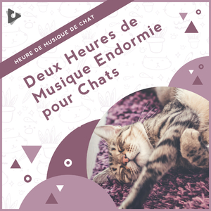 Détente instrumentale dans la nature