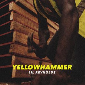 Yellowhammer